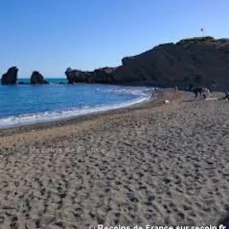 Cap D'agde - Bel 4 Pers Avec Piscine Агд